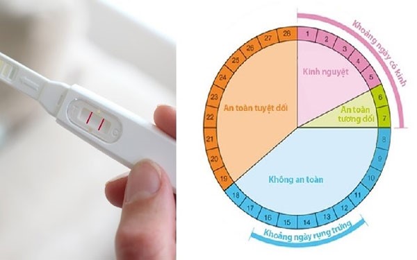 Cách tính ngày rụng trứng để sinh con gái 9 Cách tính ngày rụng trứng để sinh con gái