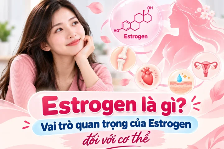Estrogen là gì? Vai trò quan trọng của Estrogen đối với cơ thể 4 Estrogen là gì? Vai trò quan trọng của Estrogen đối với cơ thể