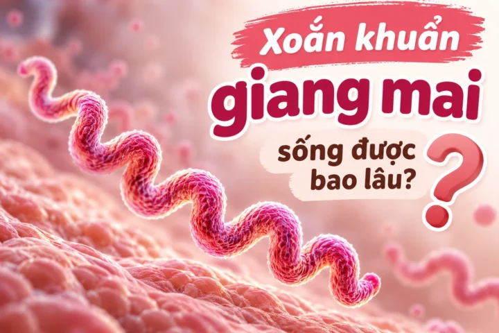Xoắn khuẩn giang mai sống được bao lâu? 9 Xoắn khuẩn giang mai sống được bao lâu?