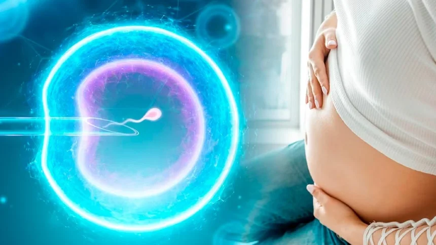 Mang thai tự nhiên có thực sự ít tốn kém hơn IVF?