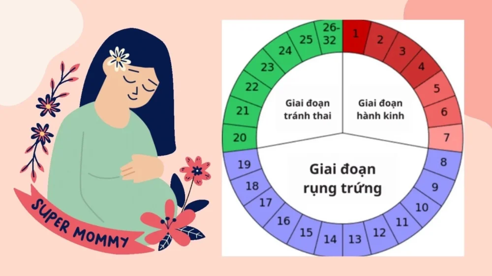 Sự thật về mang thai tự nhiên – Có phải cứ thả là đậu thai?