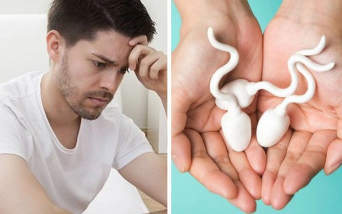 Xuất tinh bao nhiêu lần/tuần là bình thường? Có ảnh hưởng đến tinh trùng không? 11 Xuất tinh bao nhiêu lần/tuần là bình thường