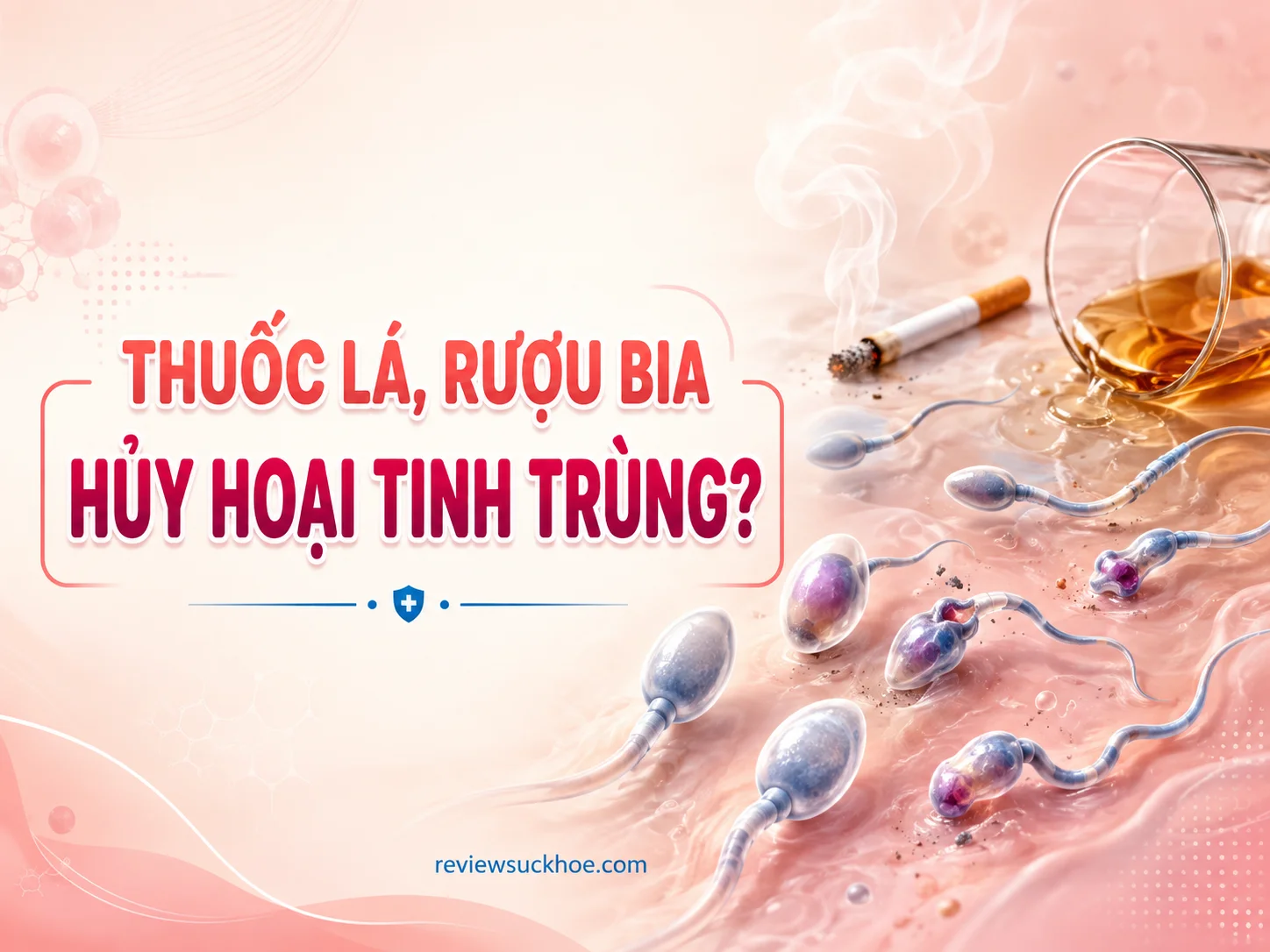 Hút thuốc lá và uống rượu bia làm hủy hoại hình thái tinh trùng như thế nào? 9 Hút thuốc lá và uống rượu bia làm hủy hoại hình thái tinh trùng như thế nào?